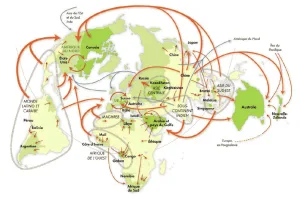 Mondialisation de la misère