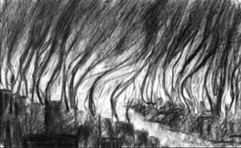 Retour de flammes