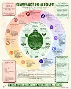 An Infographic to Reflect on the Paradigm Shift